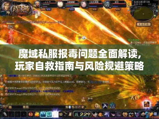 魔域私服报毒问题全面解读,玩家自救指南与风险规避策略