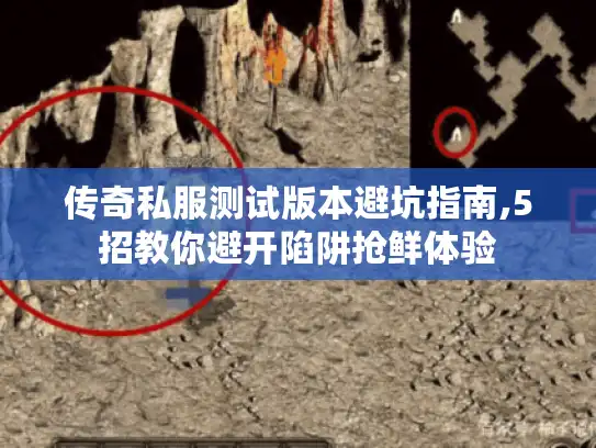 传奇私服测试版本避坑指南,5招教你避开陷阱抢鲜体验