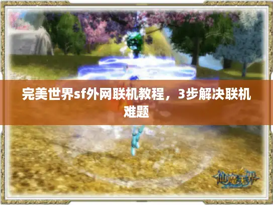 完美世界sf外网联机教程,3步解决联机难题 完美世界sf外网联机教程,3步解决联机难题