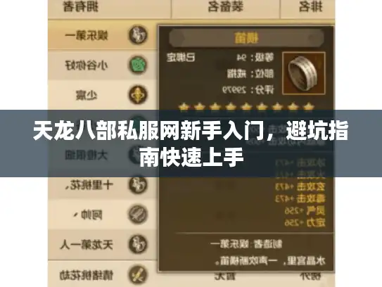 天龙八部私服网新手入门，避坑指南快速上手