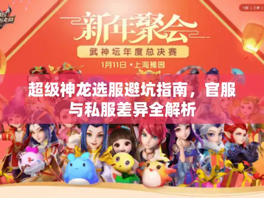 超级神龙选服避坑指南,官服与私服差异全解析 超级神龙选服避坑指南,官服与私服差异全解析