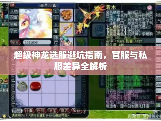 超级神龙选服避坑指南,官服与私服差异全解析 超级神龙选服避坑指南,官服与私服差异全解析