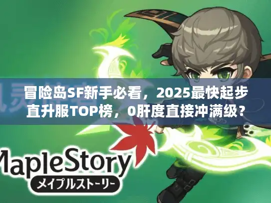 冒险岛SF新手必看，2025最快起步直升服TOP榜，0肝度直接冲满级？