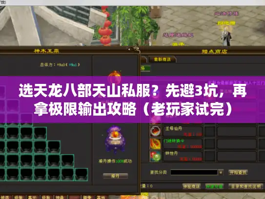 选天龙八部天山私服?先避3坑,再拿极限输出攻略(老玩家试完) 选天龙八部天山私服?先避3坑,再拿极限输出攻略(老玩家试完)