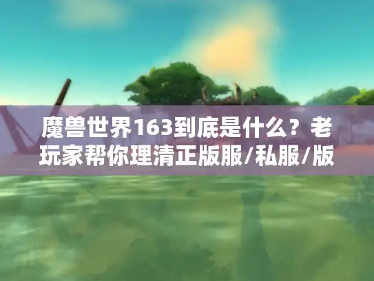 魔兽世界163到底是什么？老玩家帮你理清正版服/私服/版本选择的水