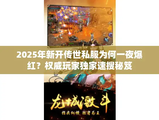 2025年新开传世私服为何一夜爆红？权威玩家独家速搜秘笈