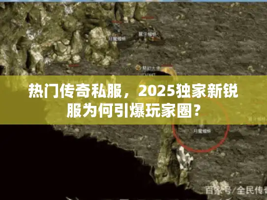 热门传奇私服，2025独家新锐服为何引爆玩家圈？