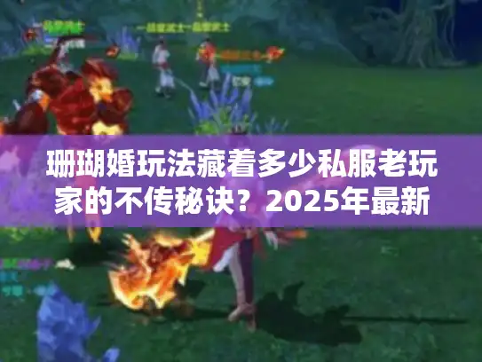 珊瑚婚玩法藏着多少私服老玩家的不传秘诀?2025年最新版本攻略全解析 珊瑚婚玩法藏着多少私服老玩家的不传秘诀?2025年最新版本攻略全解析