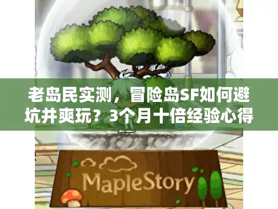 老岛民实测，冒险岛SF如何避坑并爽玩？3个月十倍经验心得