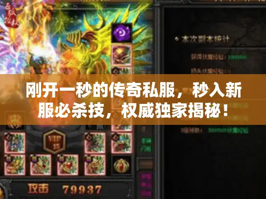 刚开一秒的传奇私服,秒入新服必杀技,权威独家揭秘! 刚开一秒的传奇私服,秒入新服必杀技,权威独家揭秘!