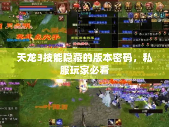 天龙3技能隐藏的版本密码，私服玩家必看