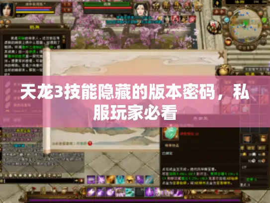 天龙3技能隐藏的版本密码，私服玩家必看