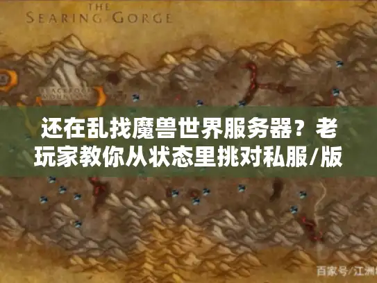 还在乱找魔兽世界服务器？老玩家教你从状态里挑对私服/版本的秘诀