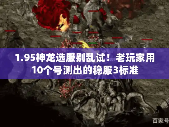 1.95神龙选服别乱试!老玩家用10个号测出的稳服3标准 1.95神龙选服别乱试!老玩家用10个号测出的稳服3标准