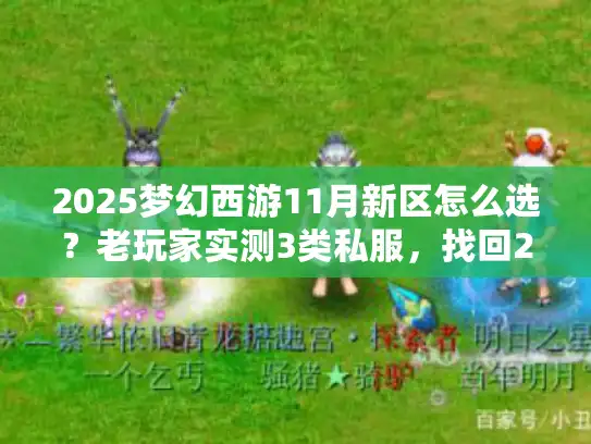 2025梦幻西游11月新区怎么选？老玩家实测3类私服，找回2013年烟火气