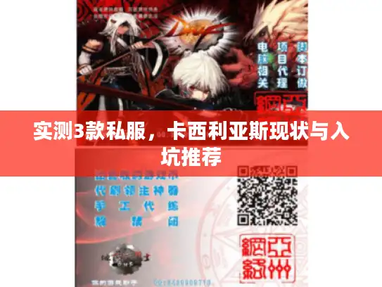 实测3款私服，卡西利亚斯现状与入坑推荐