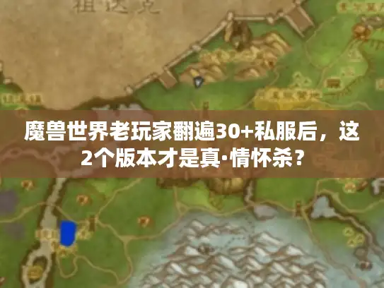 魔兽世界老玩家翻遍30+私服后，这2个版本才是真·情怀杀？