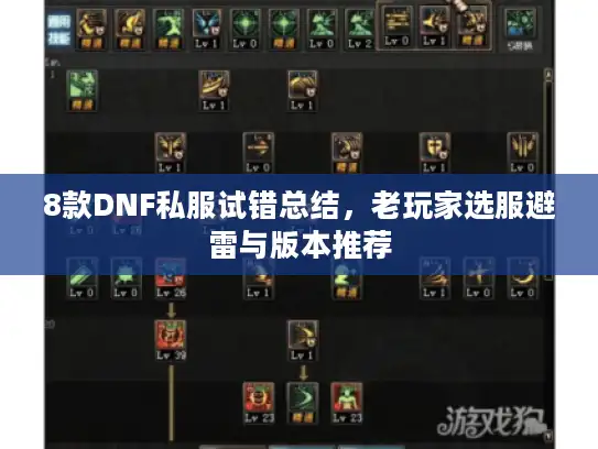 8款DNF私服试错总结，老玩家选服避雷与版本推荐