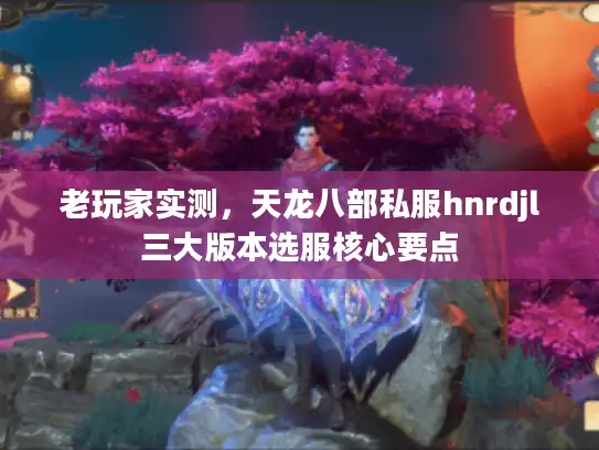 老玩家实测，天龙八部私服hnrdjl三大版本选服核心要点