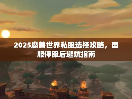 2025魔兽世界私服选择攻略，国服停服后避坑指南