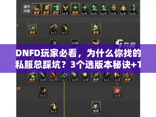 DNFD玩家必看，为什么你找的私服总踩坑？3个选版本秘诀+1套开荒攻略直接用