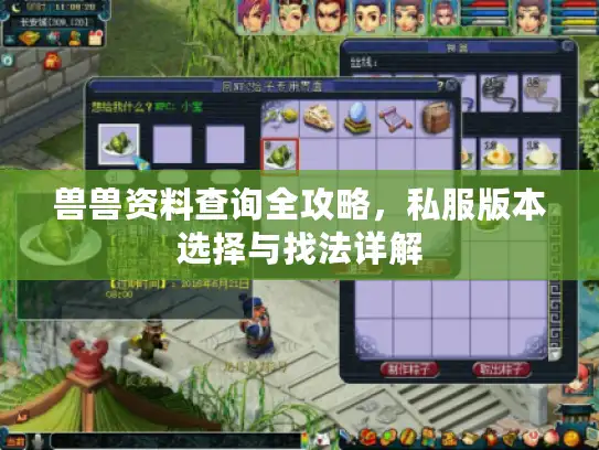 兽兽资料查询全攻略,私服版本选择与找法详解 兽兽资料查询全攻略,私服版本选择与找法详解