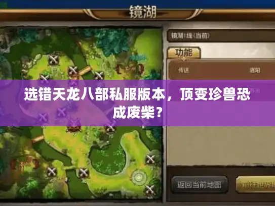 选错天龙八部私服版本，顶变珍兽恐成废柴？