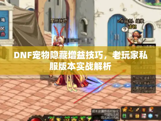DNF宠物隐藏增益技巧，老玩家私服版本实战解析