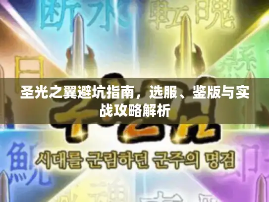 圣光之翼避坑指南，选服、鉴版与实战攻略解析