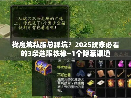 找魔域私服总踩坑？2025玩家必看的3条选服铁律+1个隐藏渠道