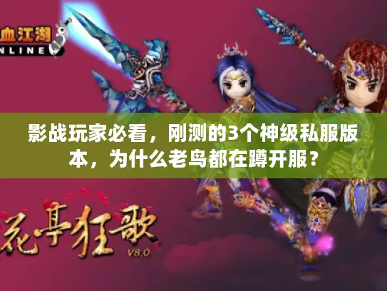 影战玩家必看，刚测的3个神级私服版本，为什么老鸟都在蹲开服？