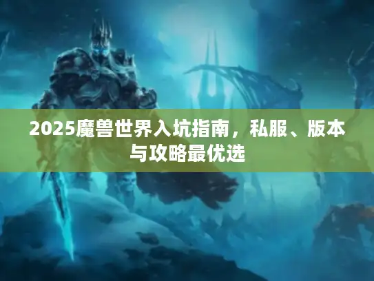 2025魔兽世界入坑指南，私服、版本与攻略最优选