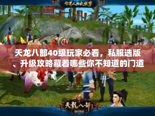 天龙八部40级玩家必看，私服选版、升级攻略藏着哪些你不知道的门道？