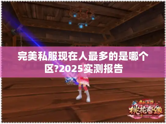 完美私服现在人最多的是哪个区?2025实测报告
