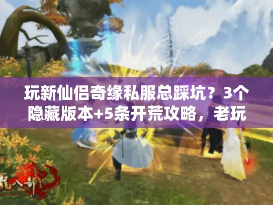 玩新仙侣奇缘私服总踩坑？3个隐藏版本+5条开荒攻略，老玩家偷偷用了3年
