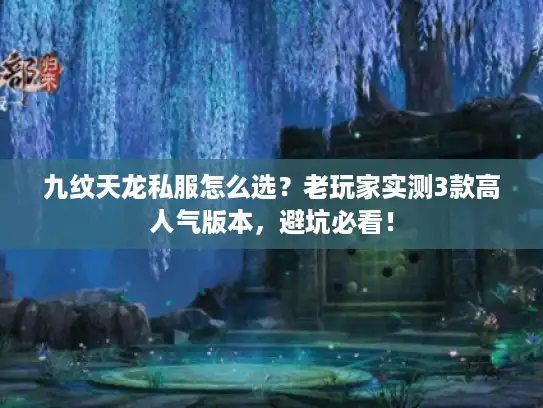 九纹天龙私服怎么选？老玩家实测3款高人气版本，避坑必看！