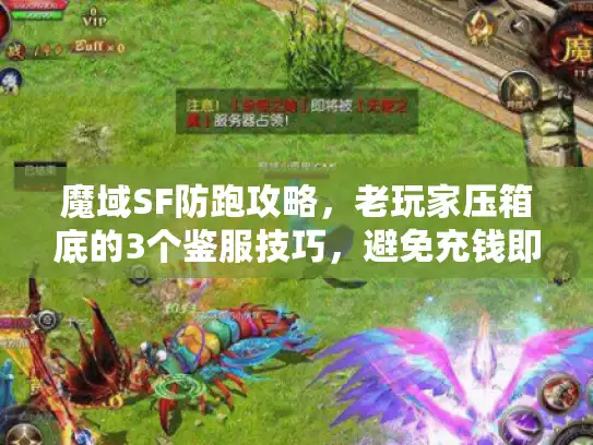 魔域SF防跑攻略,老玩家压箱底的3个鉴服技巧,避免充钱即踩坑 魔域SF防跑攻略,老玩家压箱底的3个鉴服技巧,避免充钱即踩坑