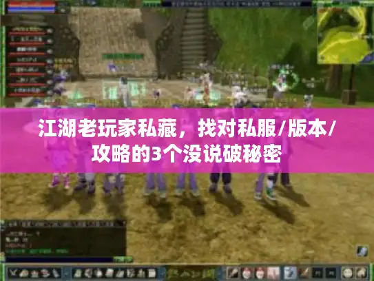 江湖老玩家私藏，找对私服/版本/攻略的3个没说破秘密