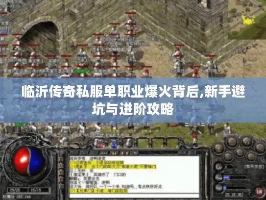 临沂传奇私服单职业爆火背后,新手避坑与进阶攻略