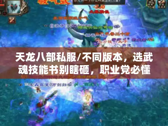 天龙八部私服/不同版本，选武魂技能书别瞎砸，职业党必懂3个核心规则
