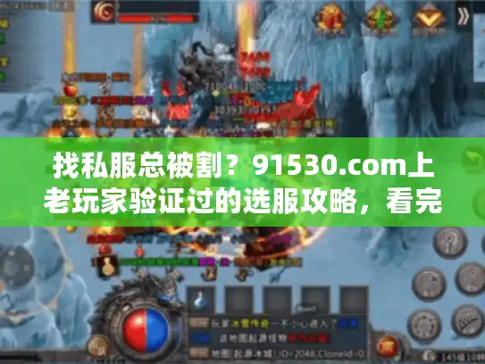 找私服总被割？91530.com上老玩家验证过的选服攻略，看完直接避坑