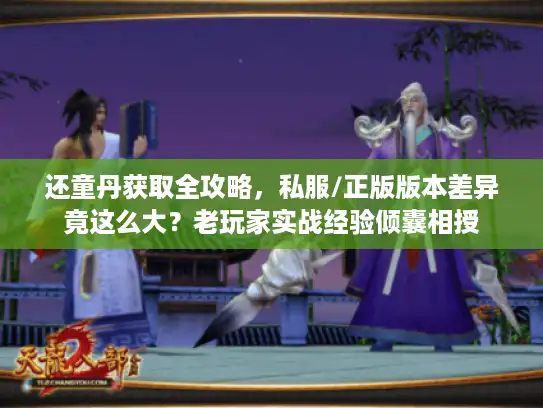 还童丹获取全攻略，私服/正版版本差异竟这么大？老玩家实战经验倾囊相授