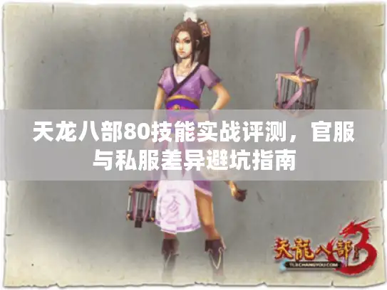 天龙八部80技能实战评测，官服与私服差异避坑指南