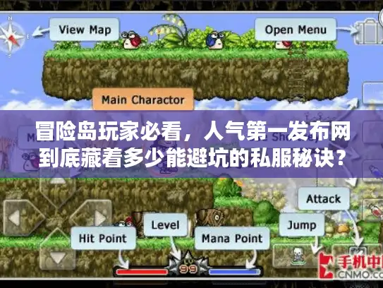 冒险岛玩家必看，人气第一发布网到底藏着多少能避坑的私服秘诀？