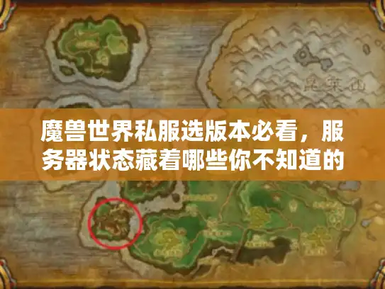 魔兽世界私服选版本必看，服务器状态藏着哪些你不知道的坑？