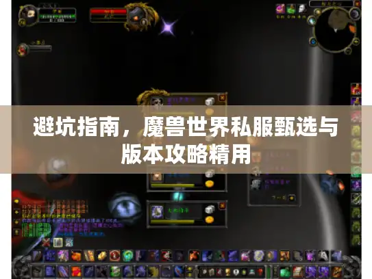 避坑指南，魔兽世界私服甄选与版本攻略精用