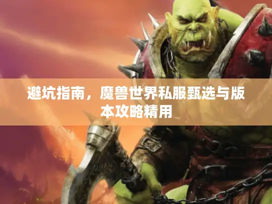 避坑指南，魔兽世界私服甄选与版本攻略精用
