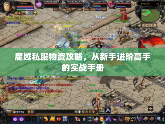 魔域私服物资攻略，从新手进阶高手的实战手册