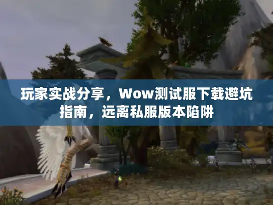 玩家实战分享，Wow测试服下载避坑指南，远离私服版本陷阱