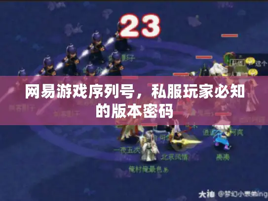 网易游戏序列号，私服玩家必知的版本密码